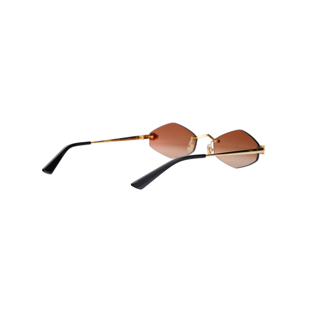 CT0433S Hexagonal Panthère Sunglasses