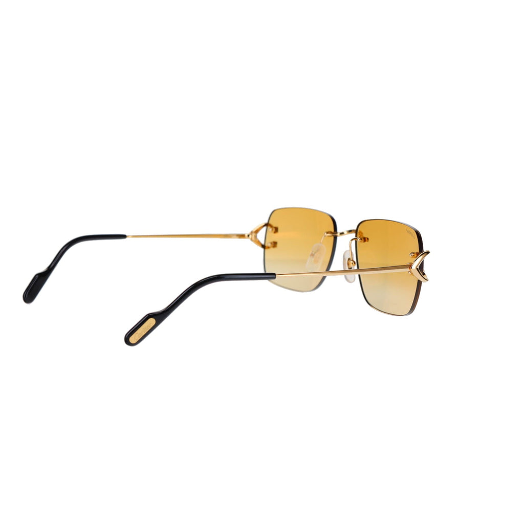 CT0330S Signature C  Sunglasses