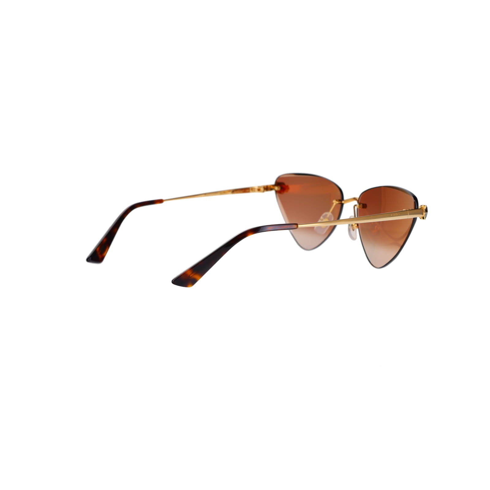 CT0399S Geometric Panthère Sunglasses