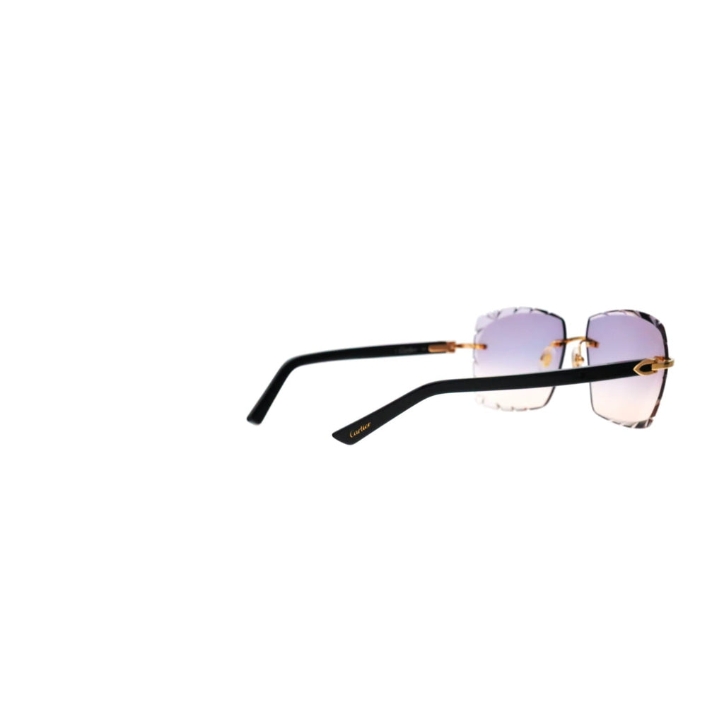 Cartier Custom C Décor Acetate Sunglasses