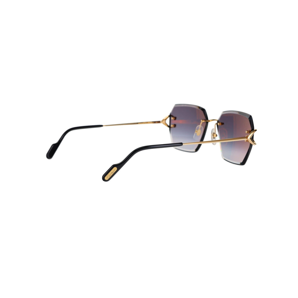 CT0466S  Signature C Sunglasses