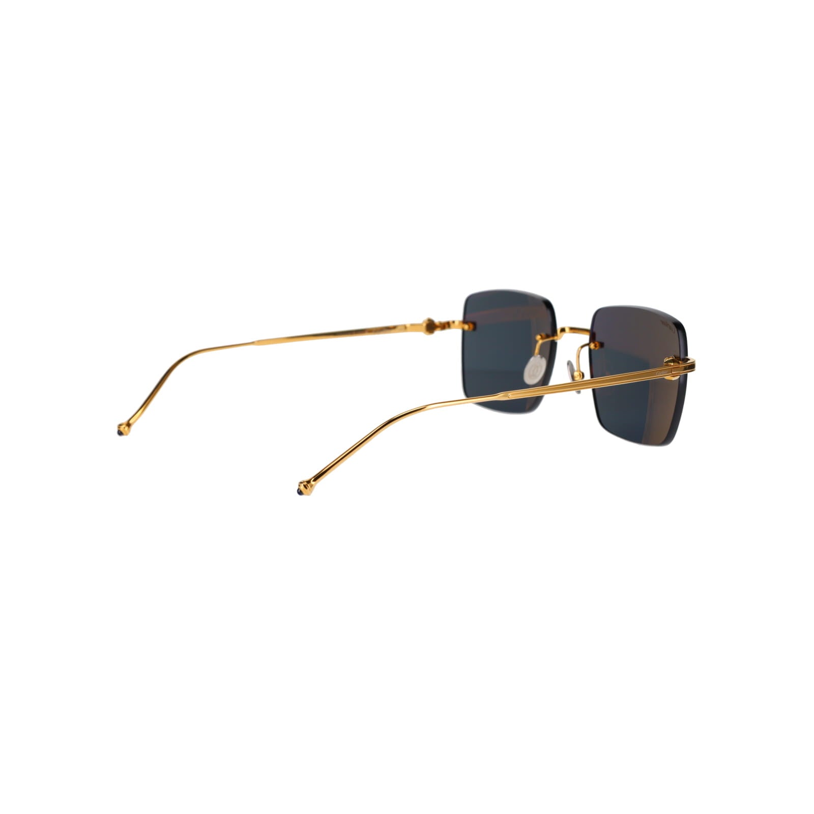 CT0403S Pasha Sunglasses