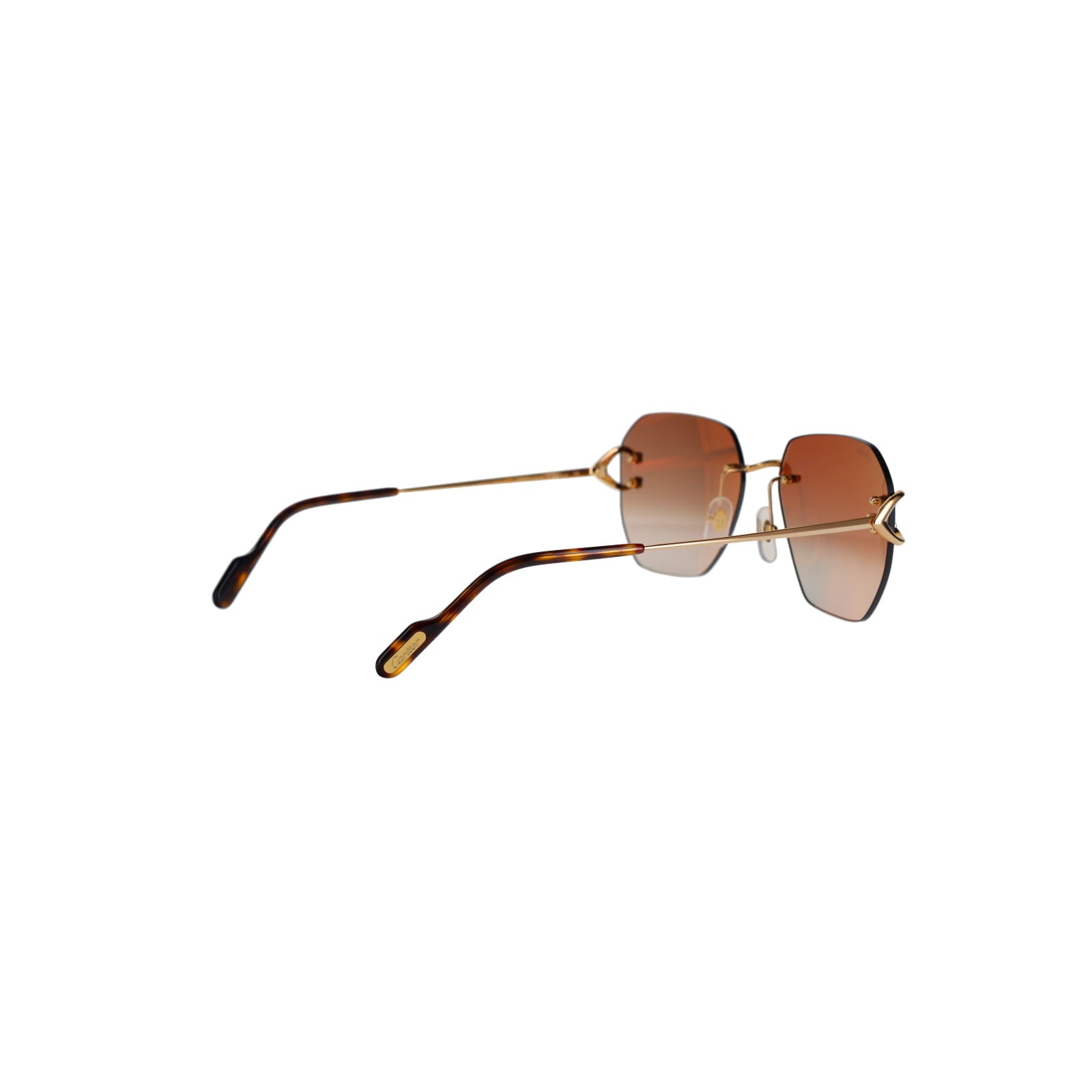 CT0394S Signature C Sunglasses