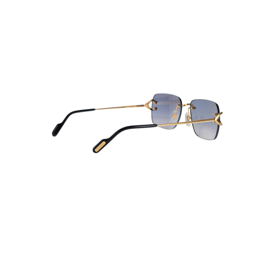 CT0330S Signature C  Sunglasses