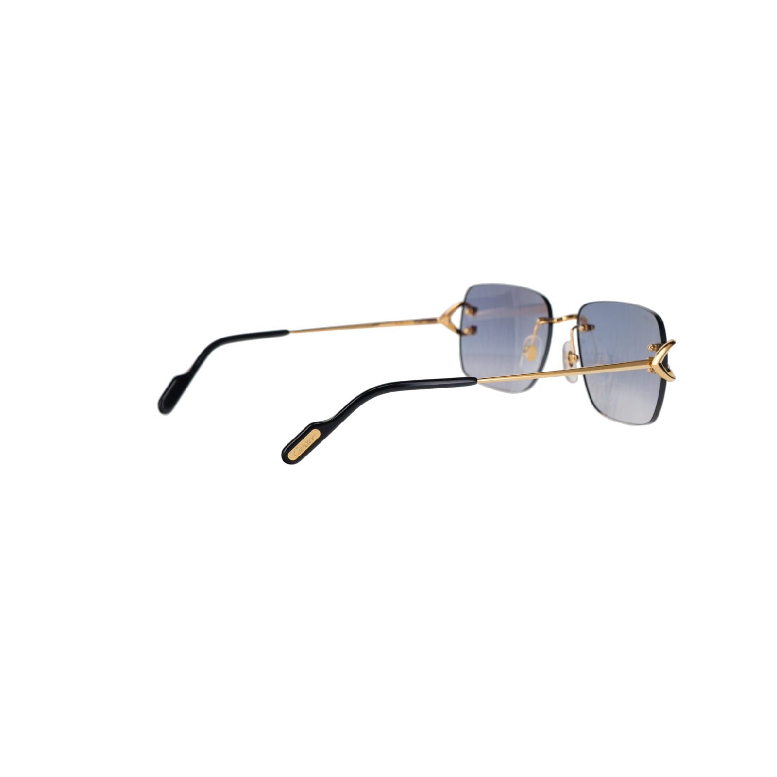 CT0330S Signature C  Sunglasses