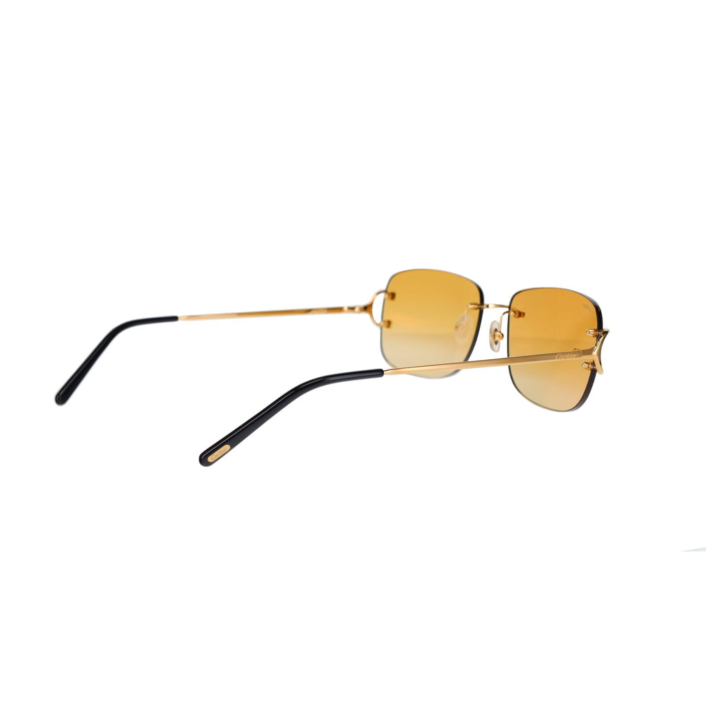 CT0011RS Signature C Sunglasses