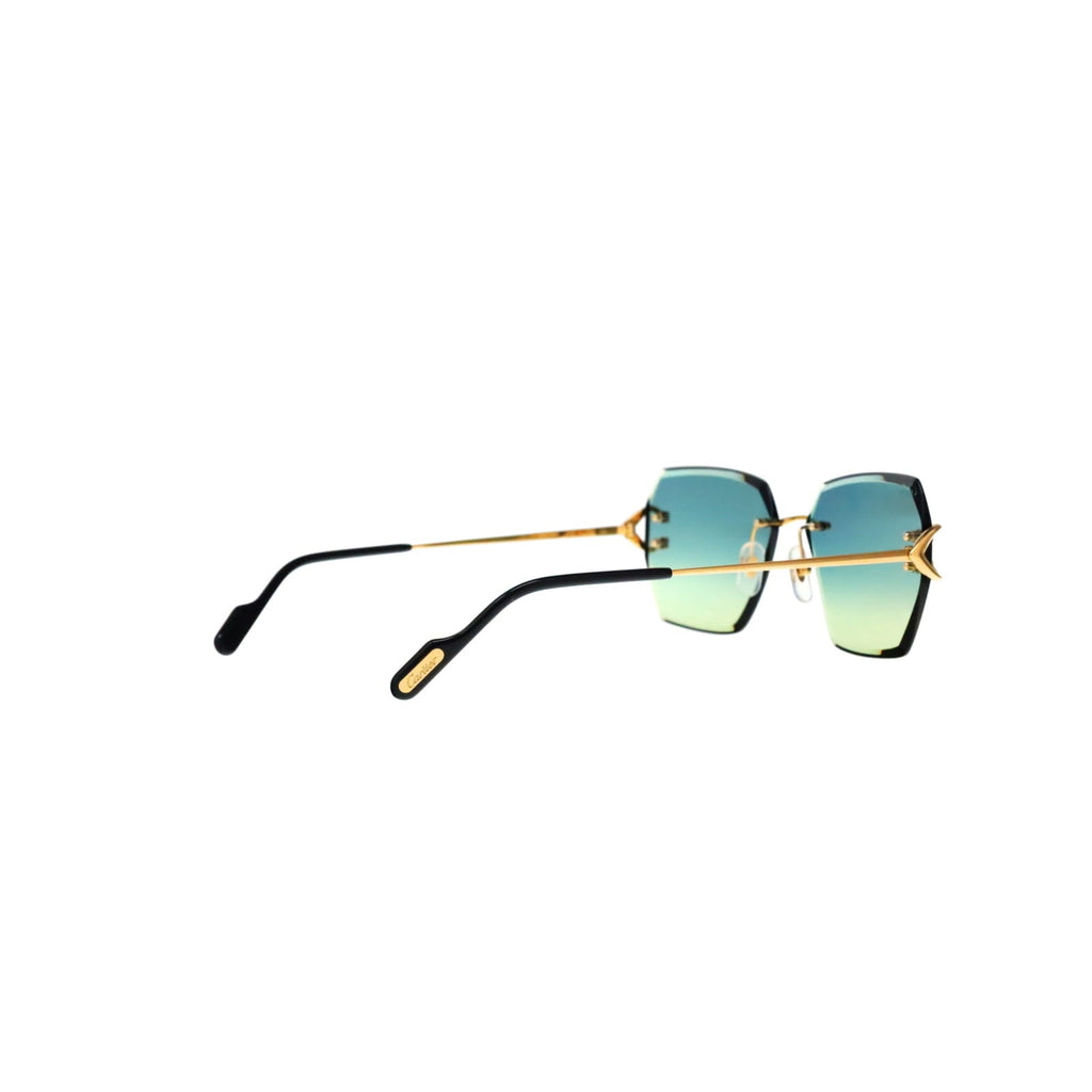CT0466S  Signature C Sunglasses