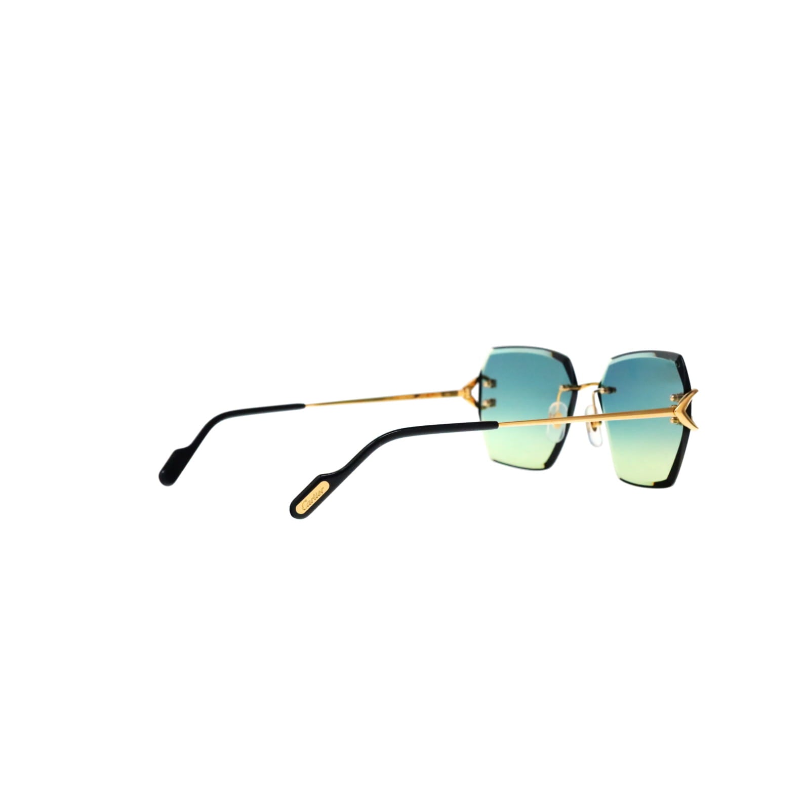 CT0466S  Signature C Sunglasses