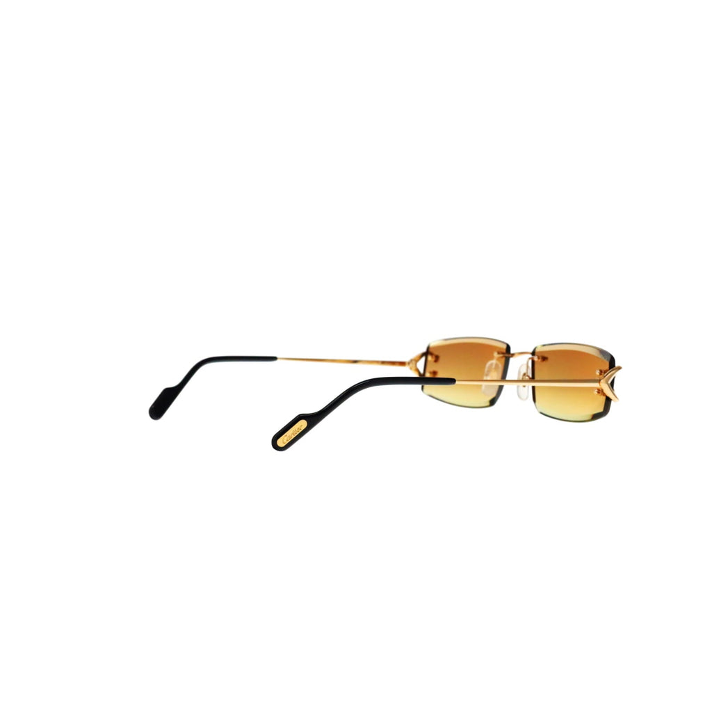 CT0465S Signature C  Rectangular Sunglasses