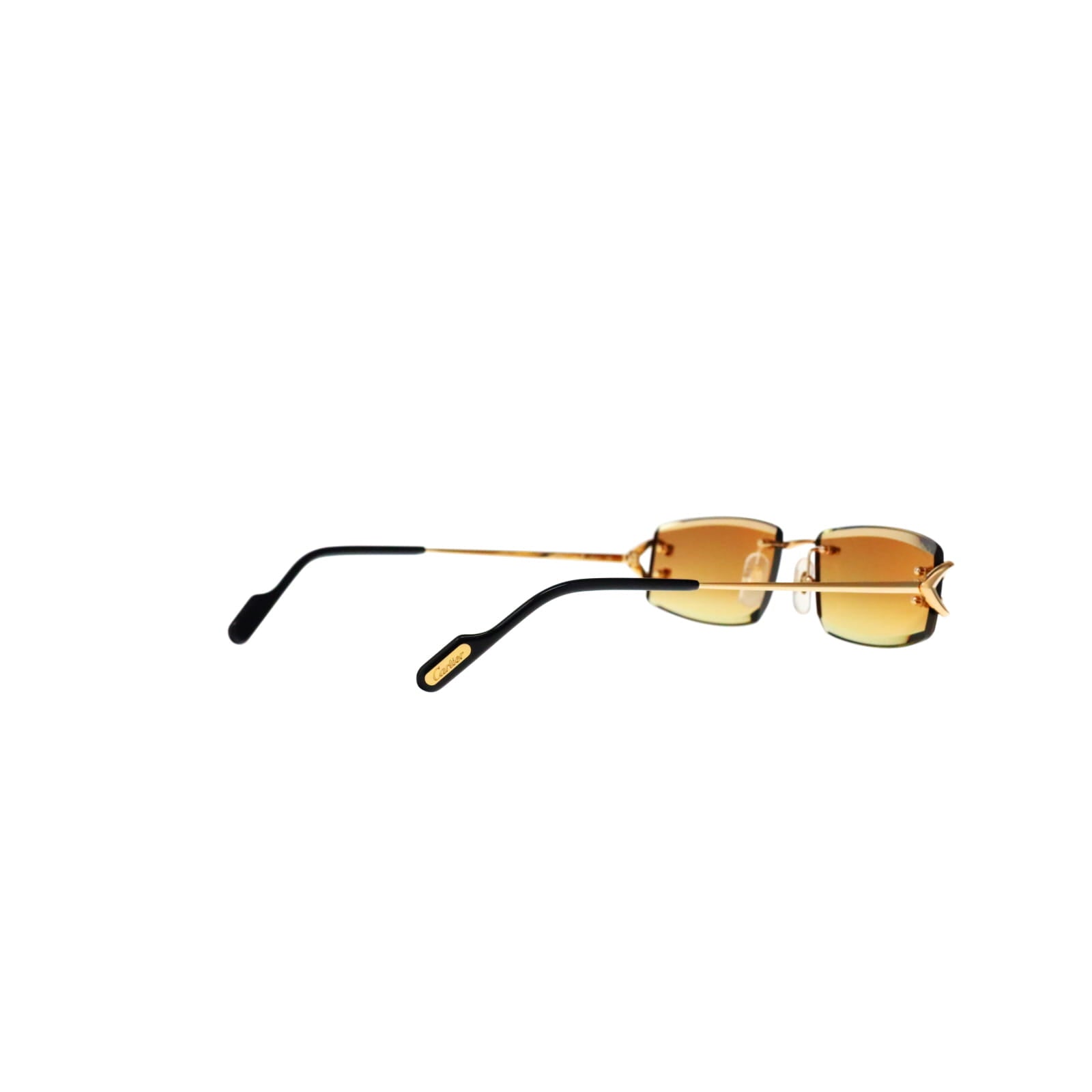 CT0465S Signature C  Rectangular Sunglasses