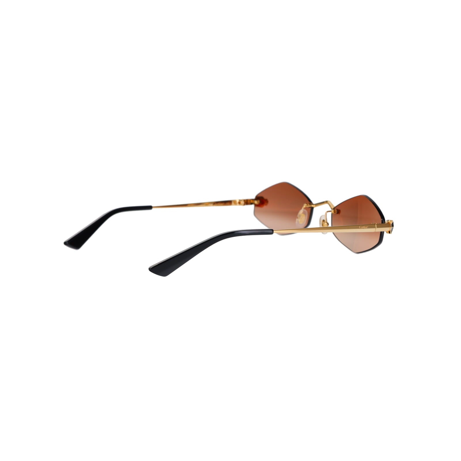 CT0433S Hexagonal Panthère Sunglasses