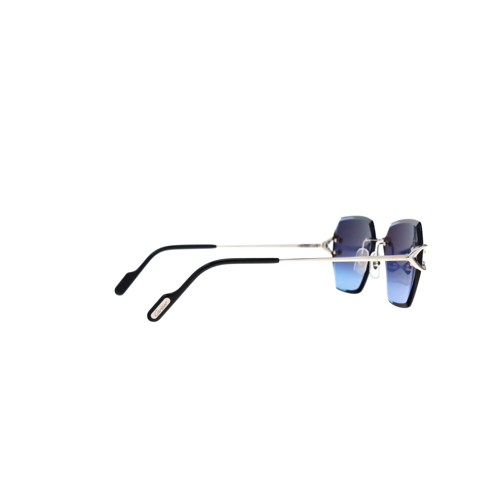 CT0466S  Signature C Sunglasses