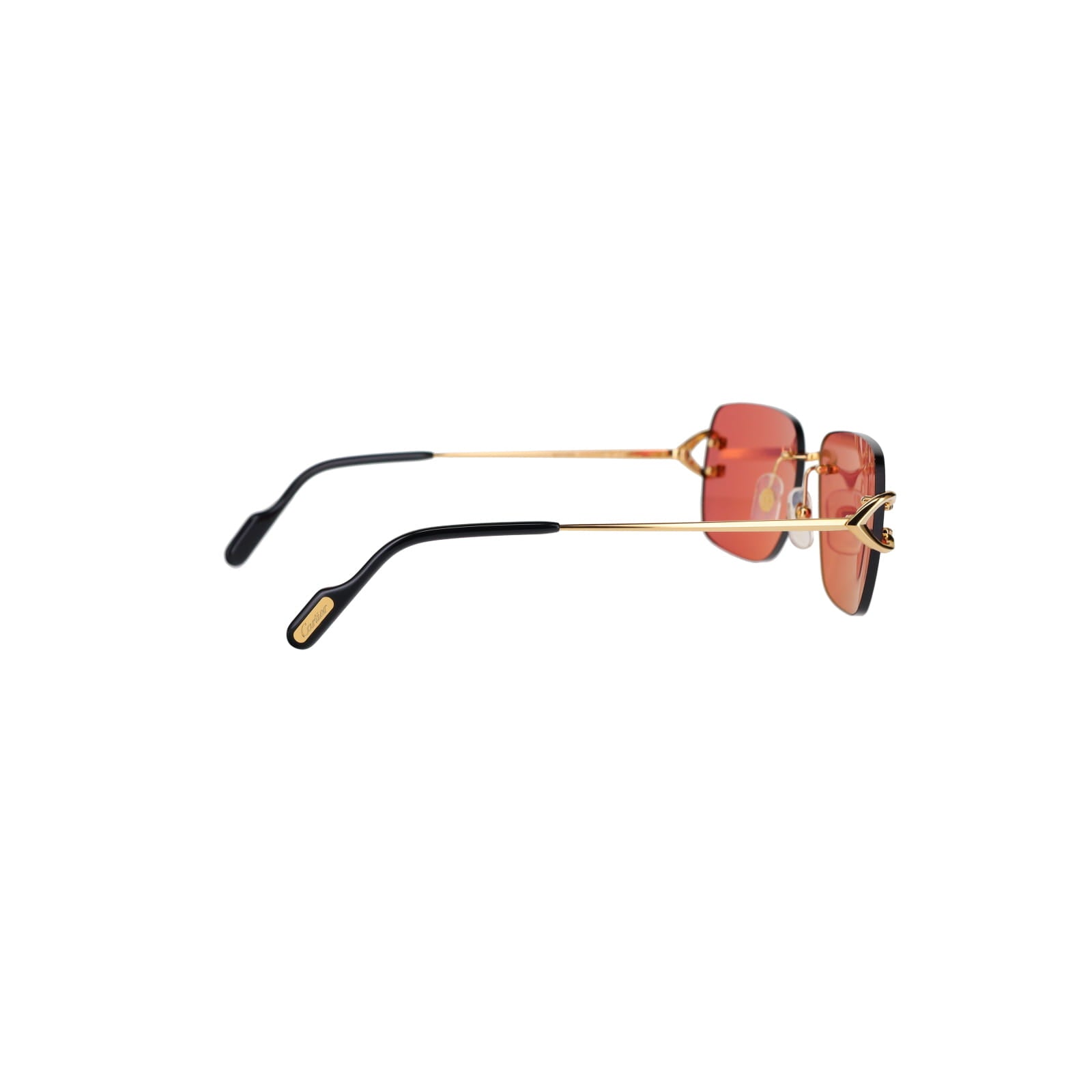 CT0330S Signature C  Sunglasses