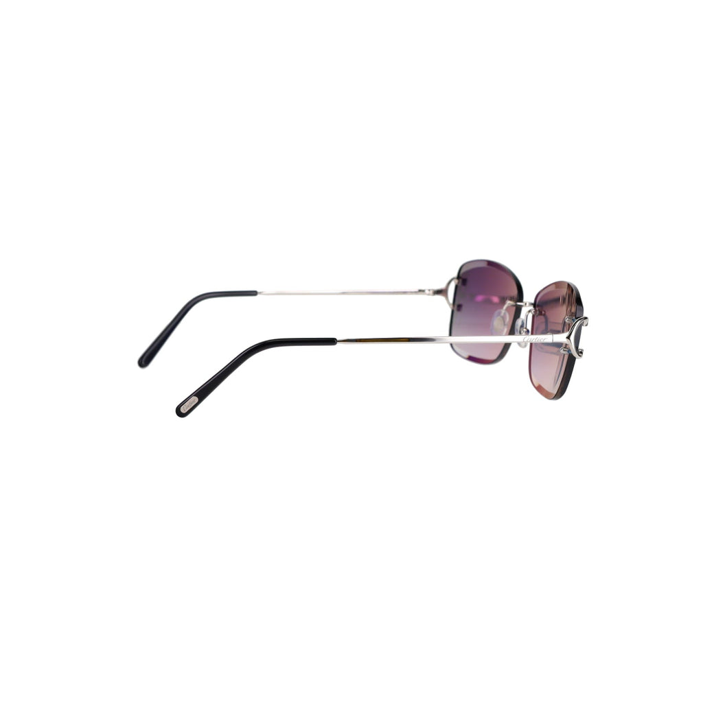 CT0010RS Signature C Sunglasses