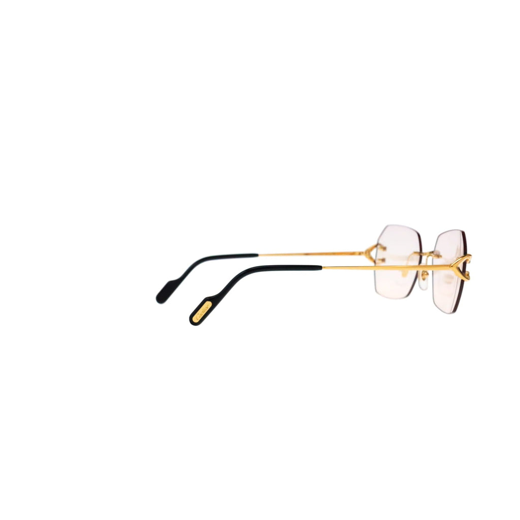 CT0416S Blue & Beyond Transitional Sunglasses
