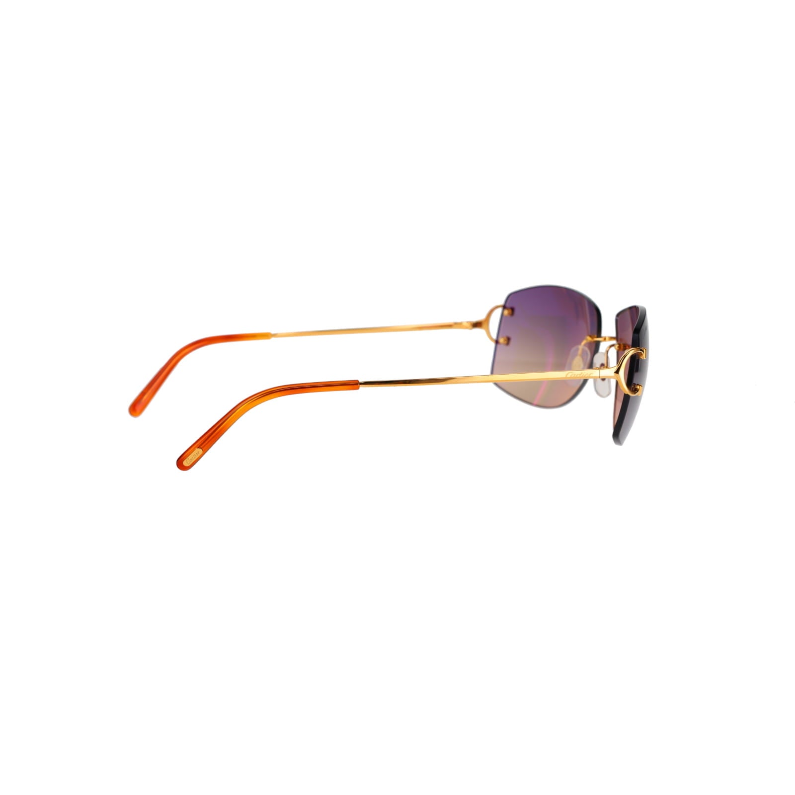 CT0008RS Signature C Sunglasses