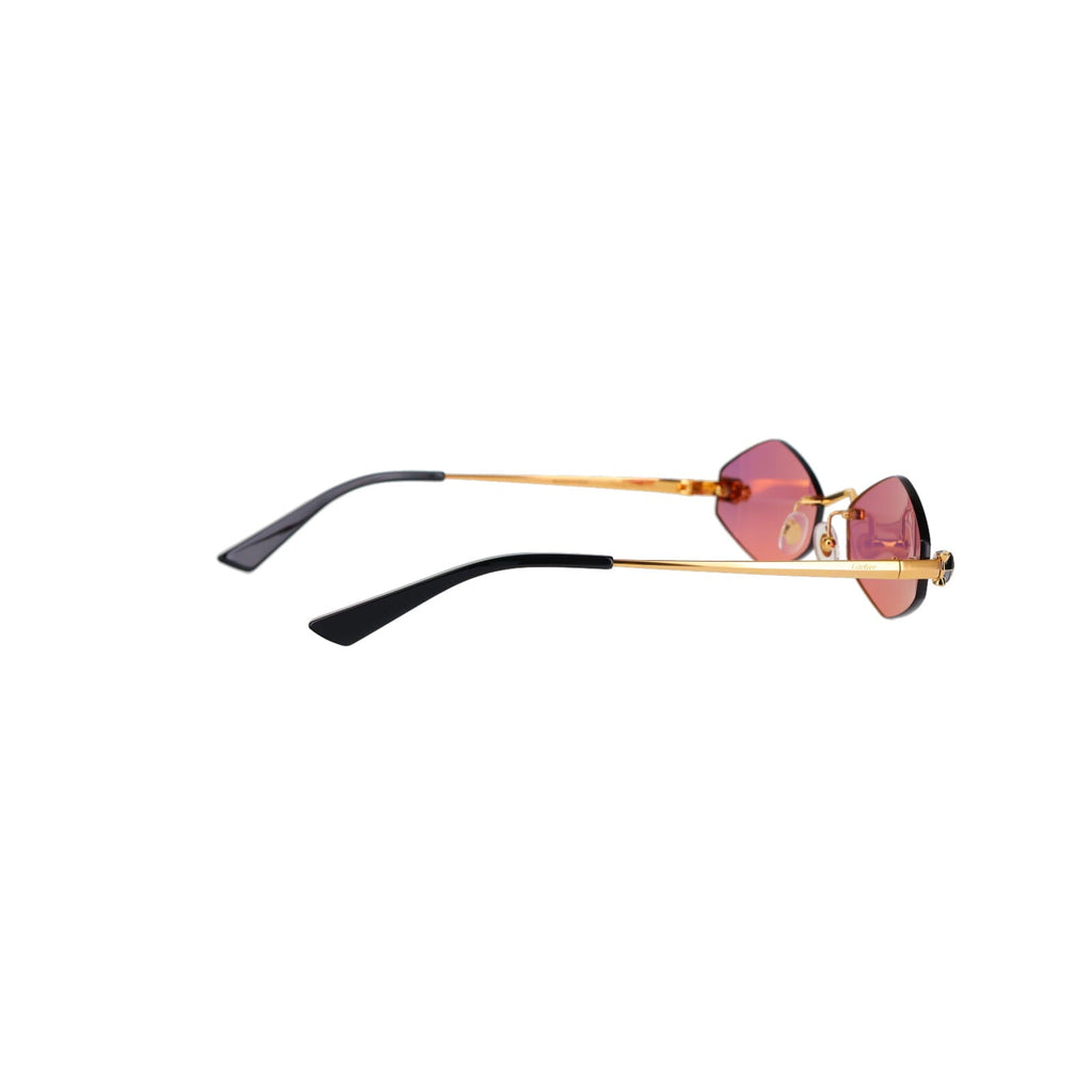 CT0433S Hexagonal Panthère Sunglasses