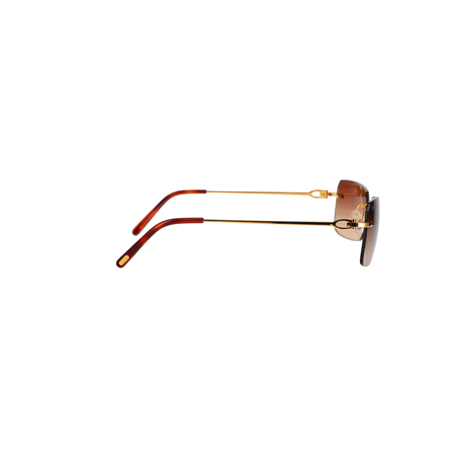CT0006RS  C Décor Sunglasses