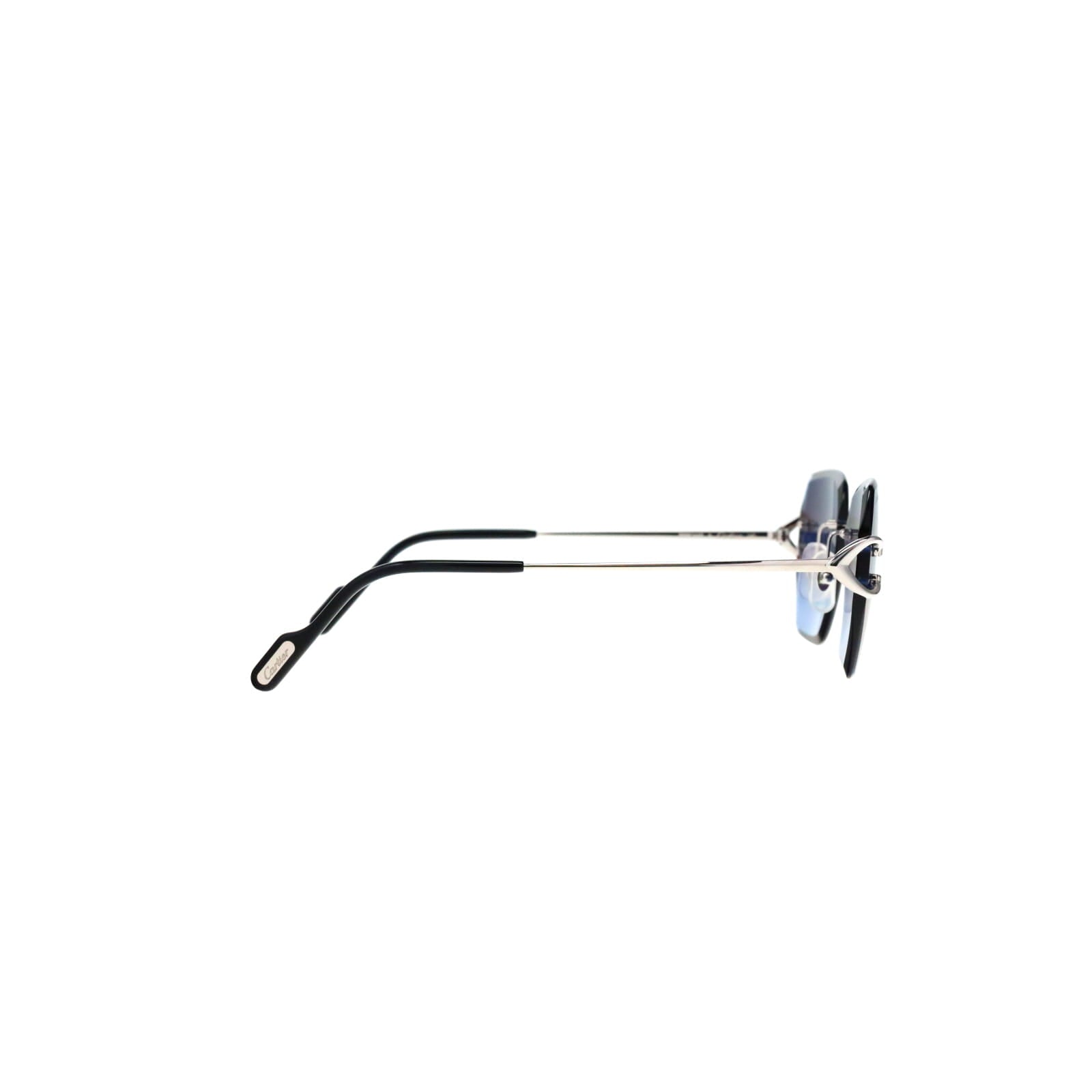 CT0466S  Signature C Sunglasses
