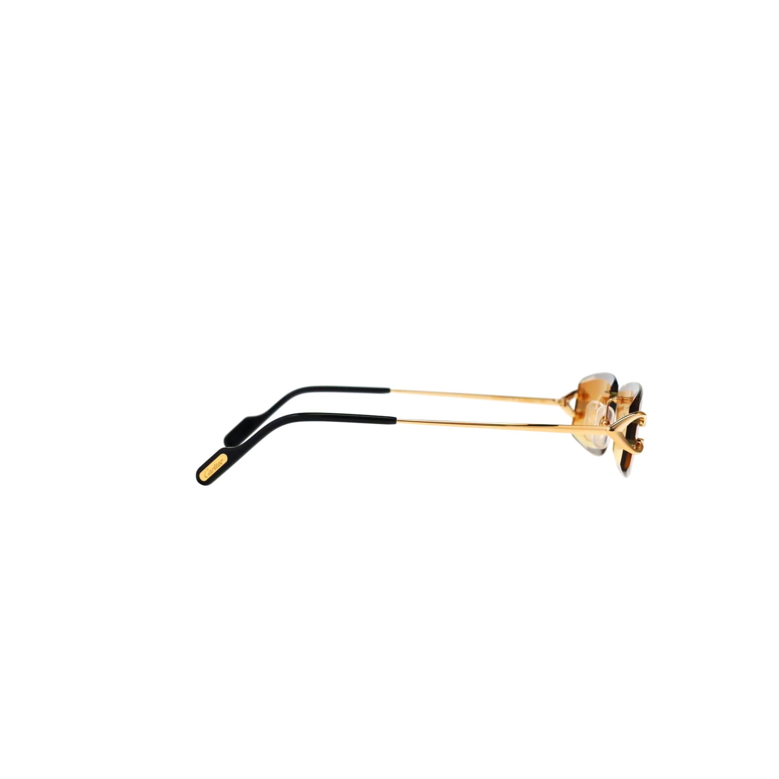 CT0465S Signature C  Rectangular Sunglasses