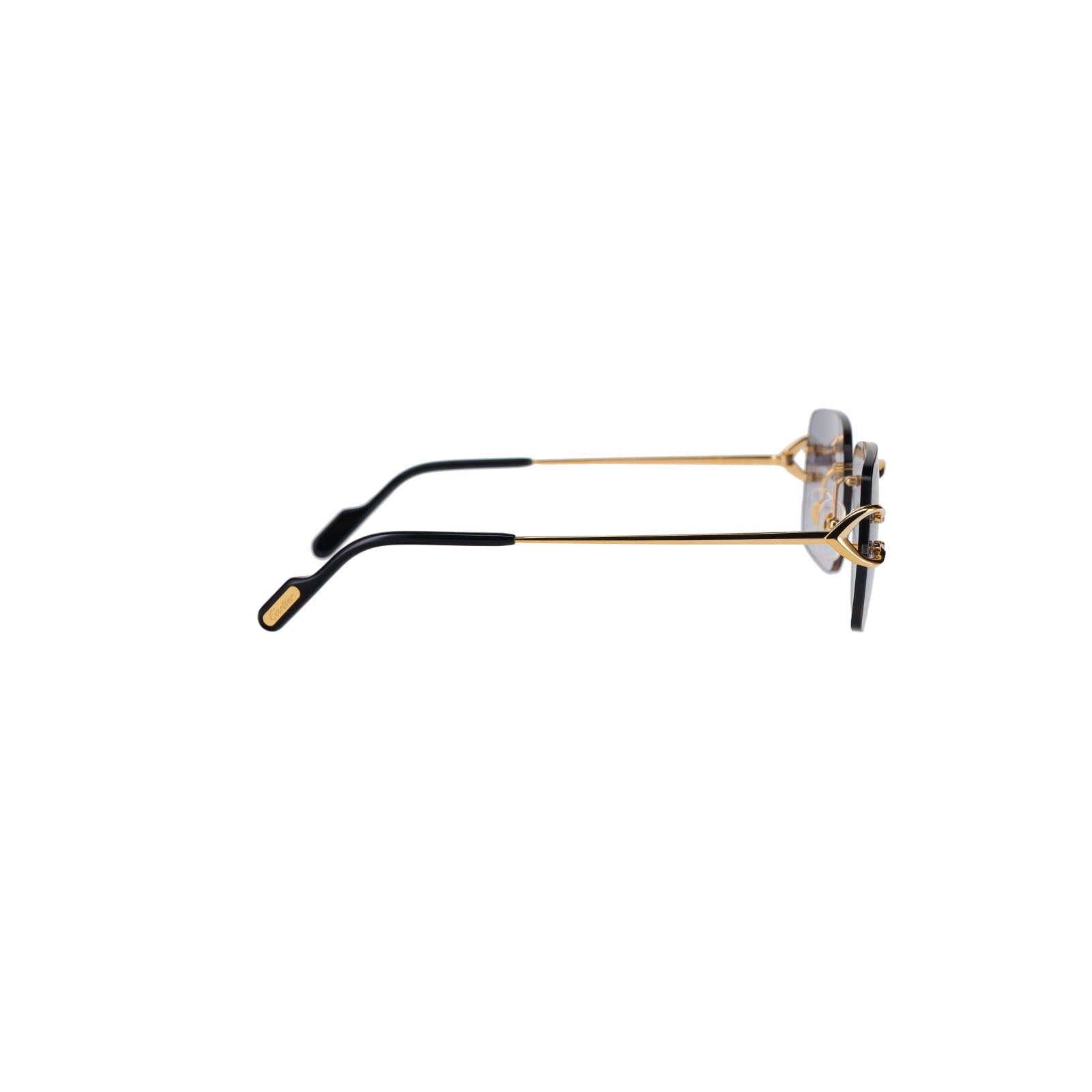 CT0330S Signature C  Sunglasses