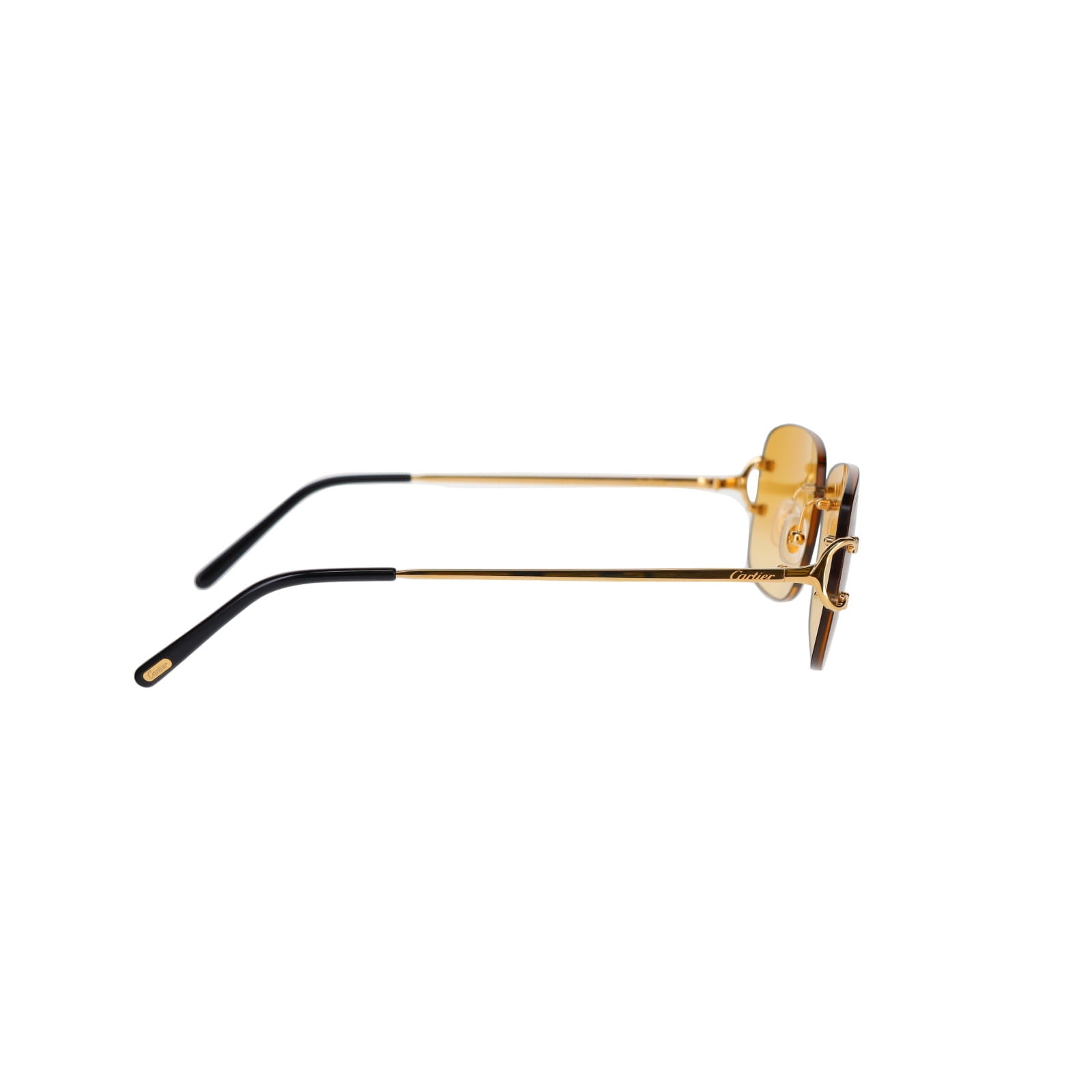 CT0011RS Signature C Sunglasses