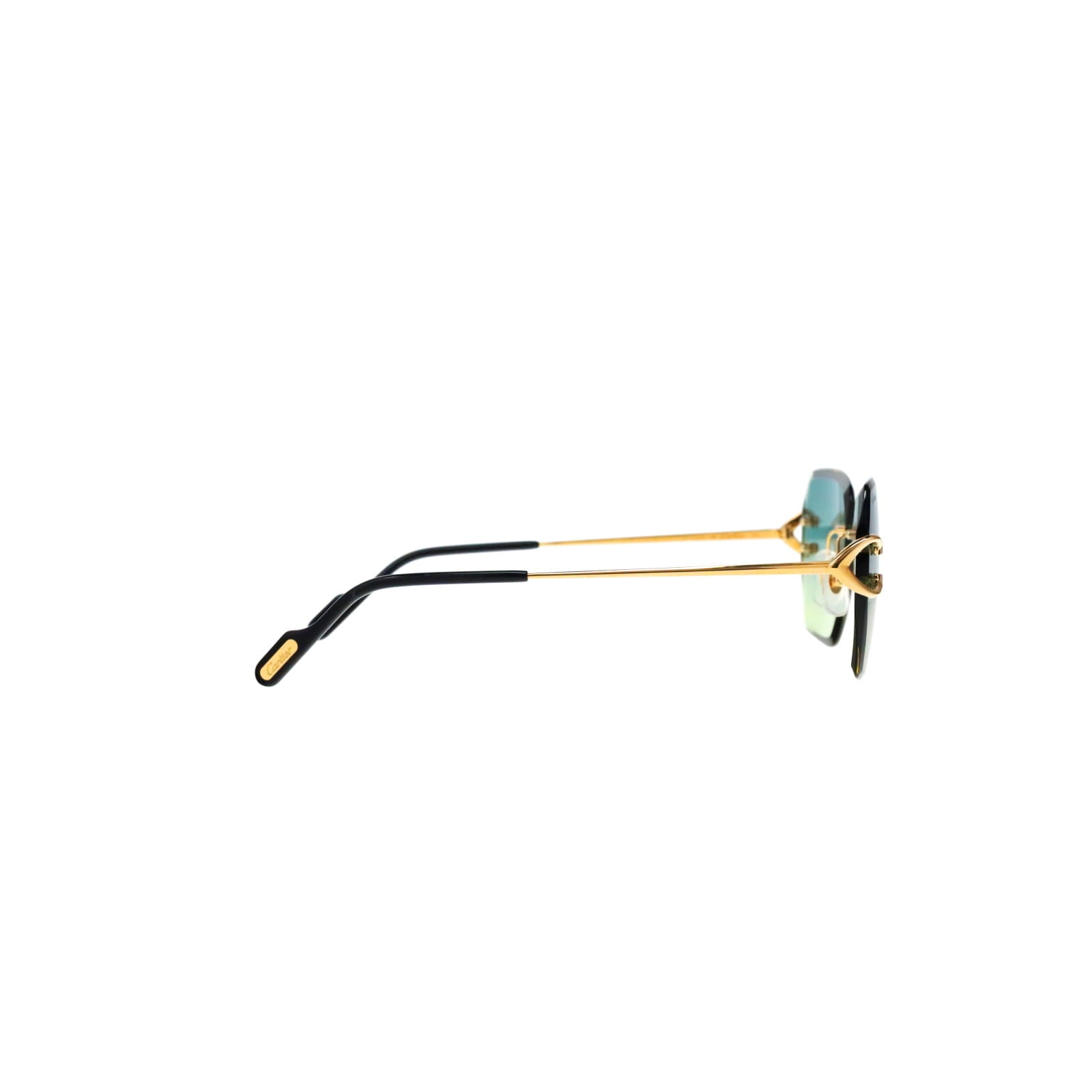 CT0466S  Signature C Sunglasses