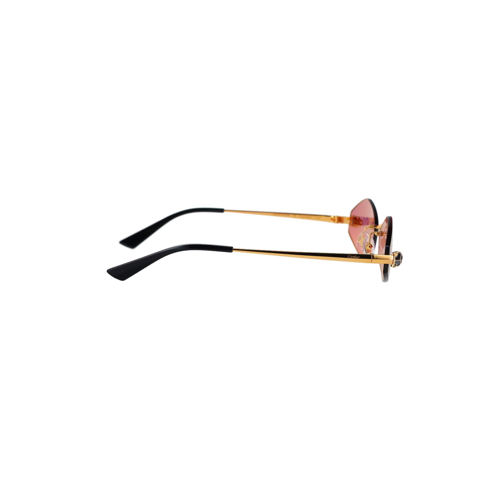 CT0433S Hexagonal Panthère Sunglasses