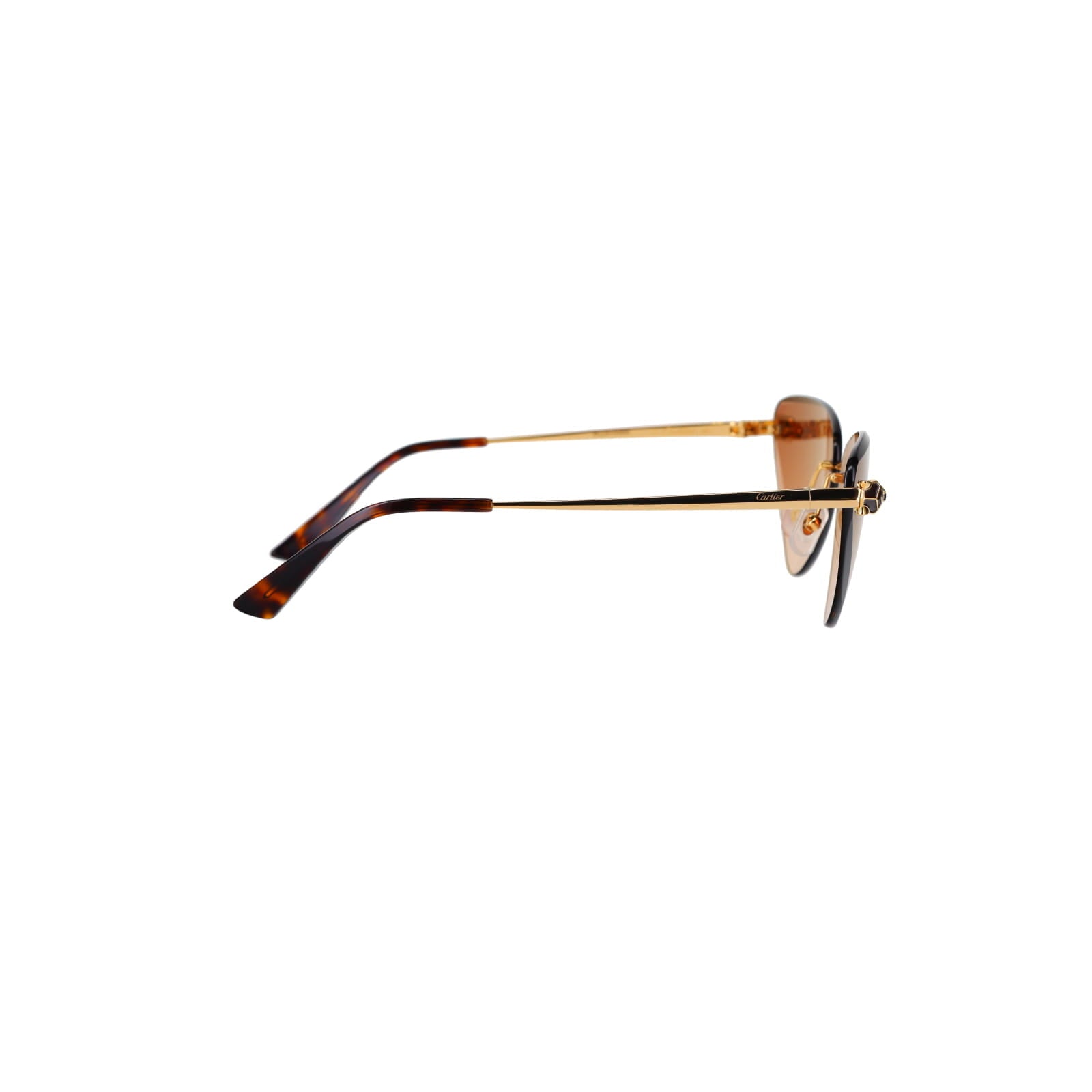 CT0399S Geometric Panthère Sunglasses