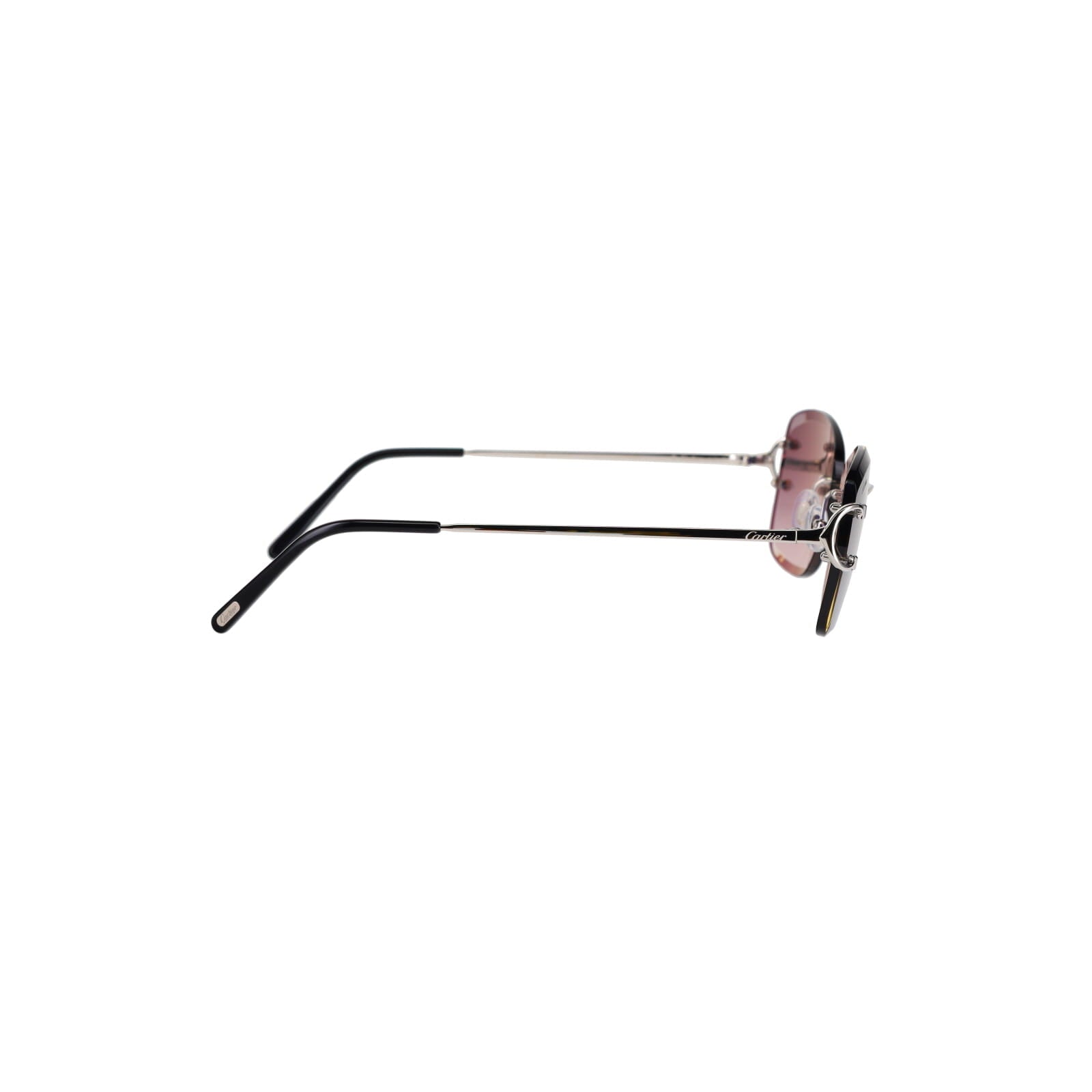 CT0010RS Signature C Sunglasses