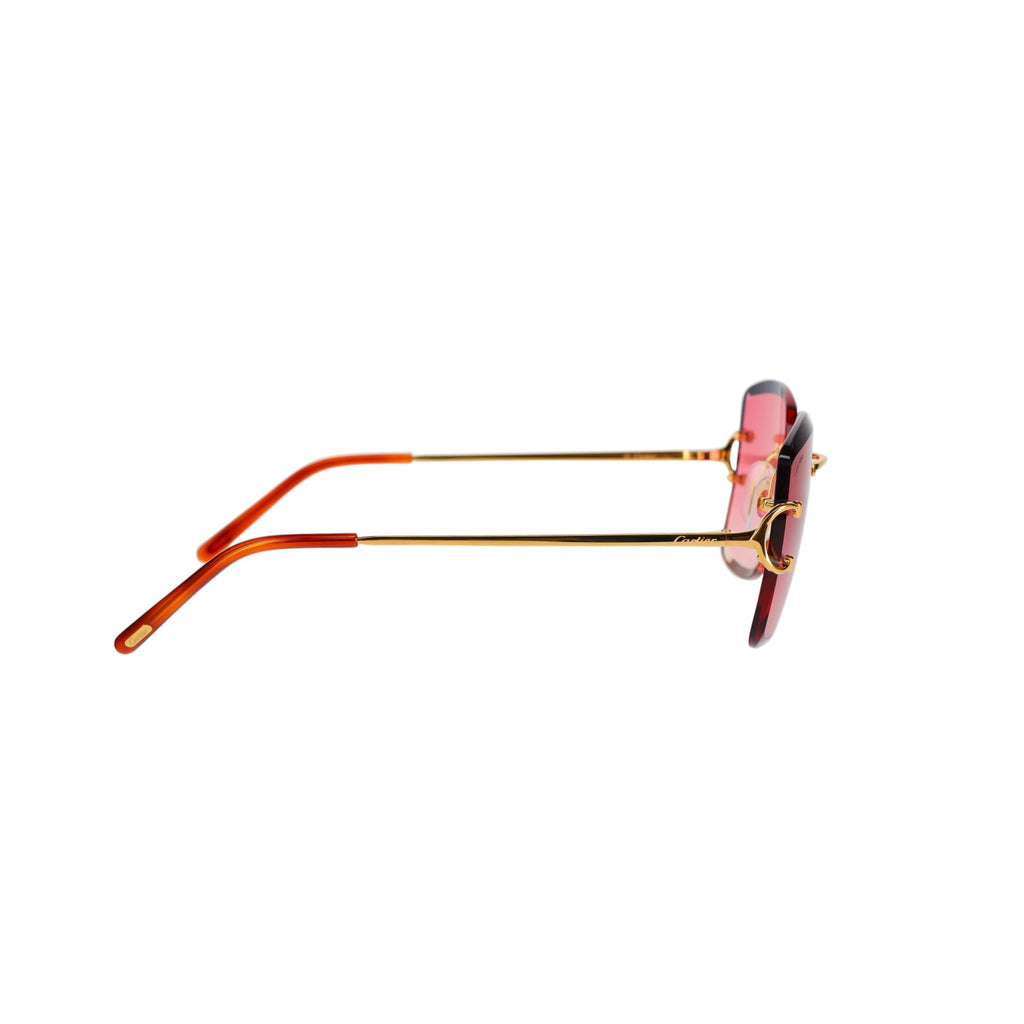 CT0007RS Signature C Sunglasses