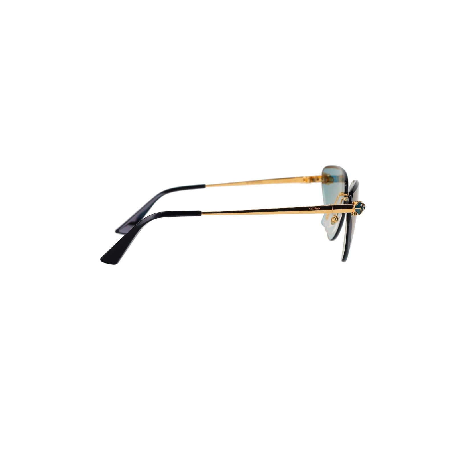 CT0399S Geometric Panthère Sunglasses
