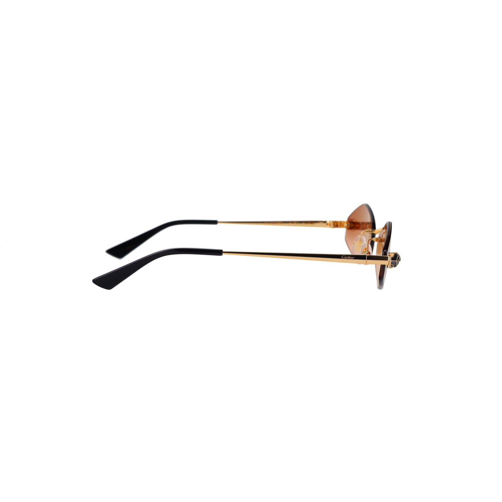 CT0433S Hexagonal Panthère Sunglasses