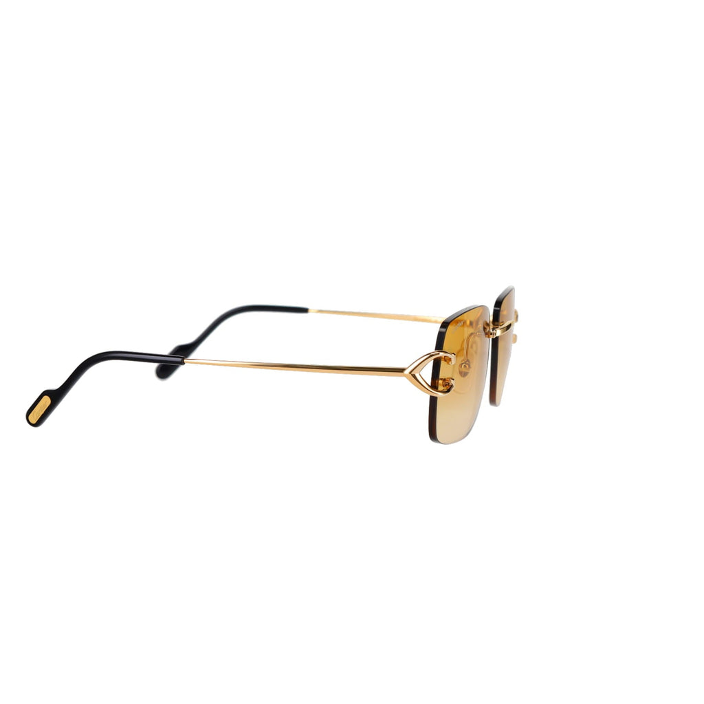 CT0330S Signature C  Sunglasses