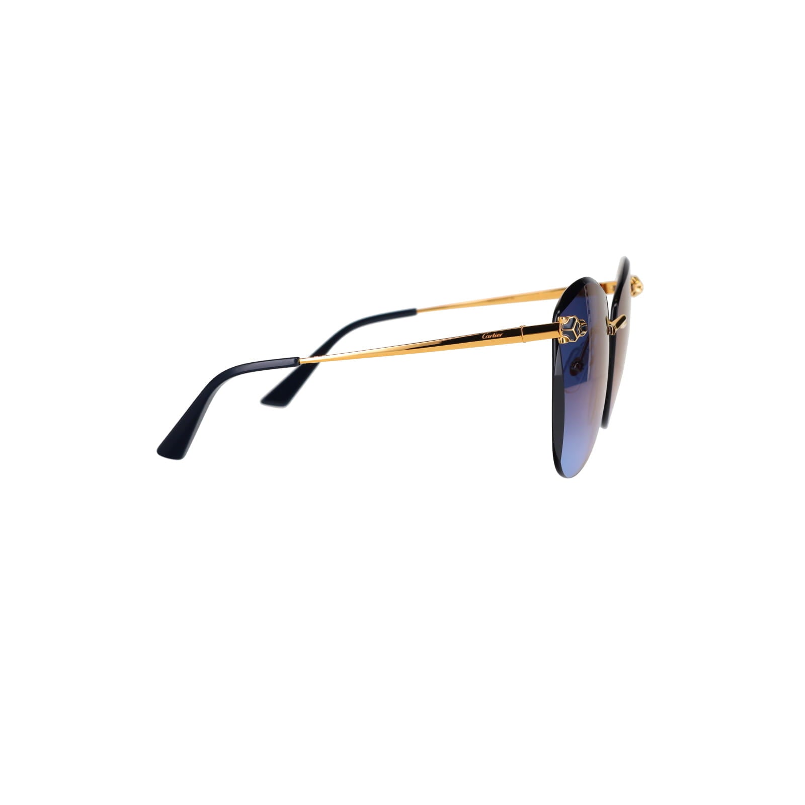 CT0398S Cat-eye Panthère Sunglasses