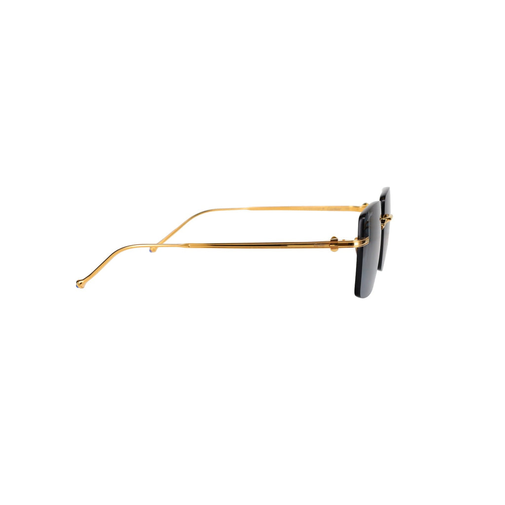 CT0403S Pasha Sunglasses