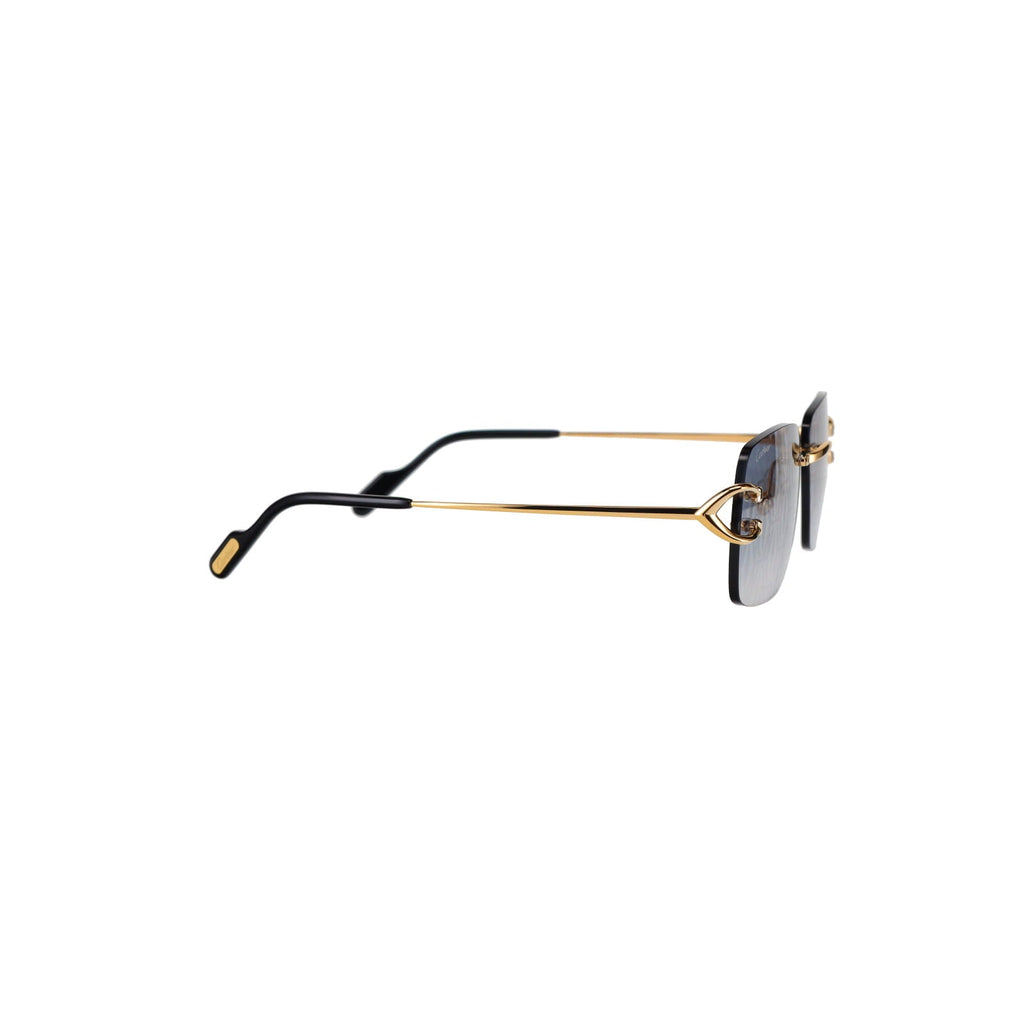 CT0330S Signature C  Sunglasses