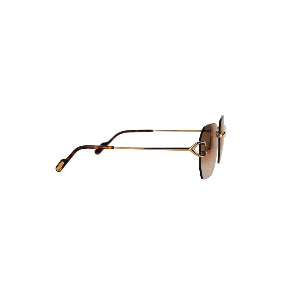 CT0394S Signature C Sunglasses