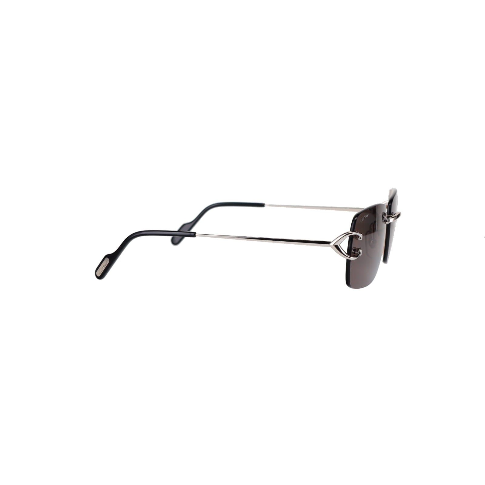 CT0330S Signature C  Sunglasses