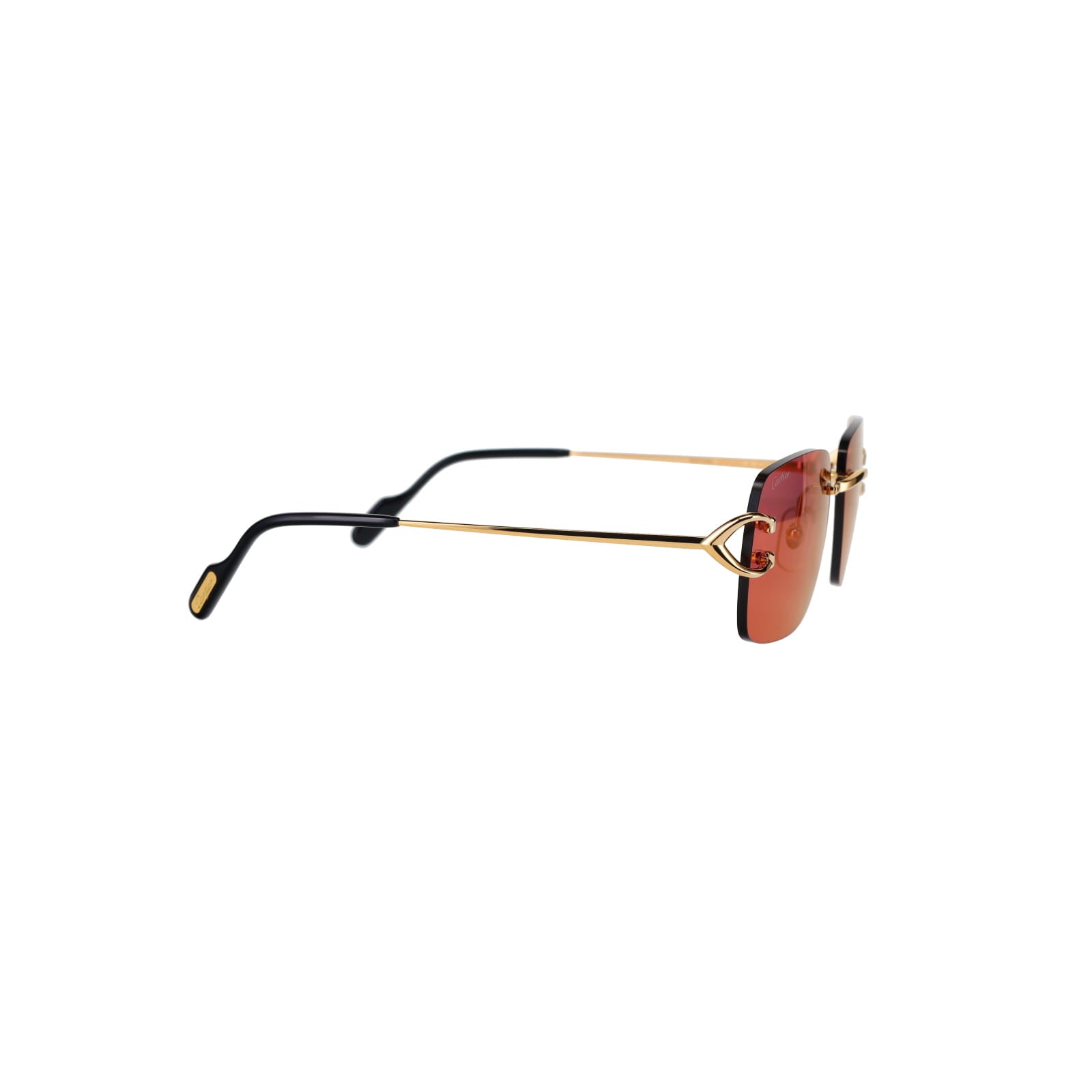 CT0330S Signature C  Sunglasses