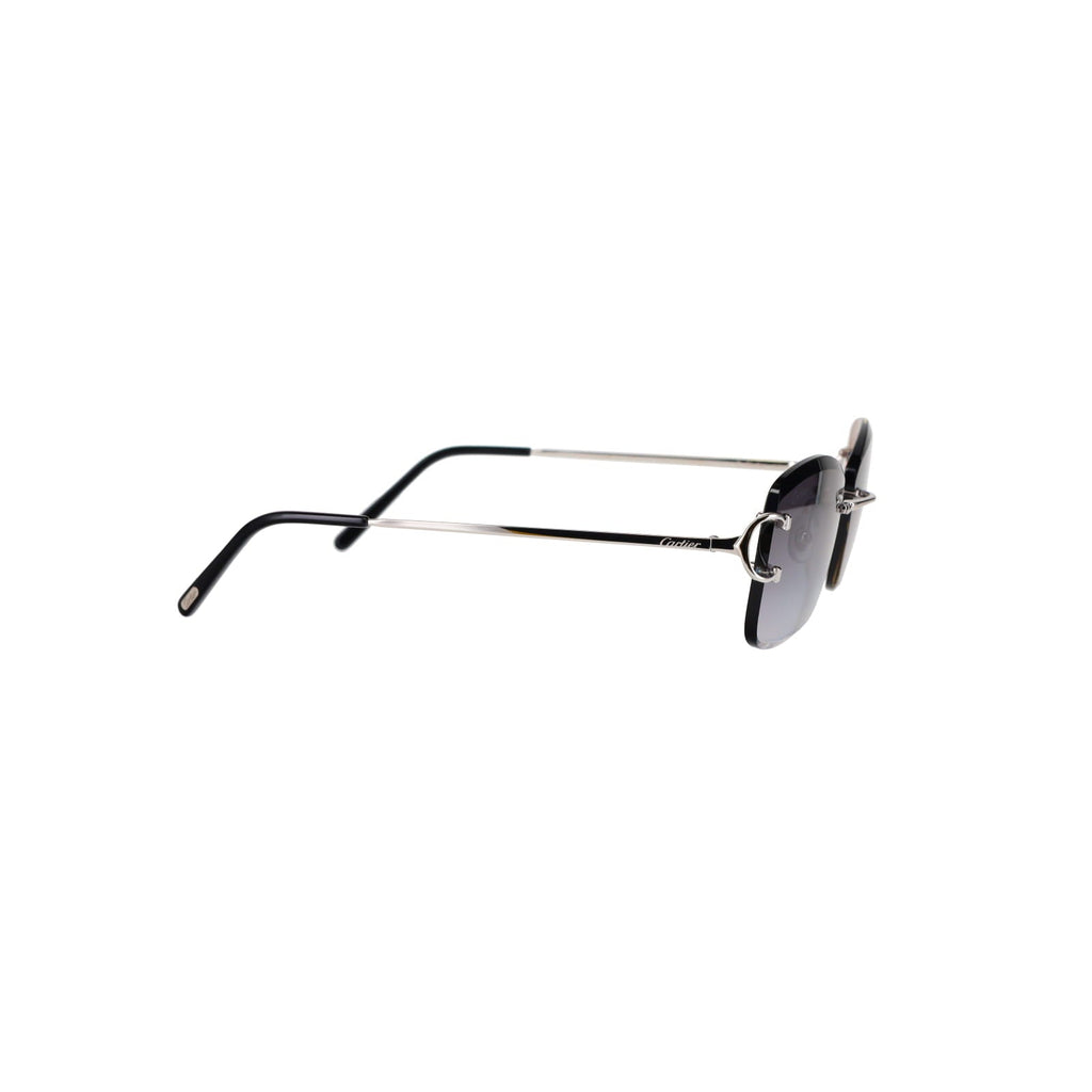 CT0010RS Signature C Sunglasses