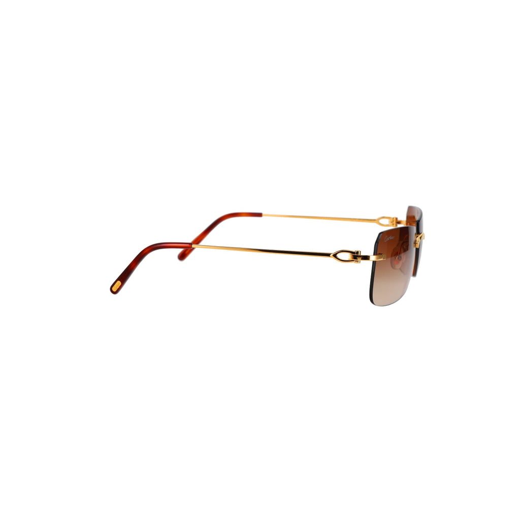 CT0006RS  C Décor Sunglasses