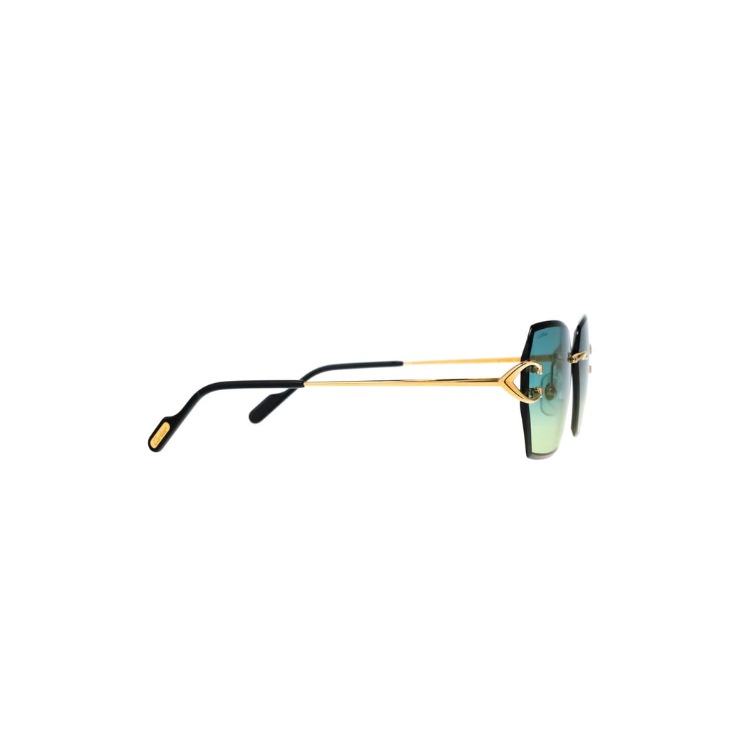 CT0466S  Signature C Sunglasses