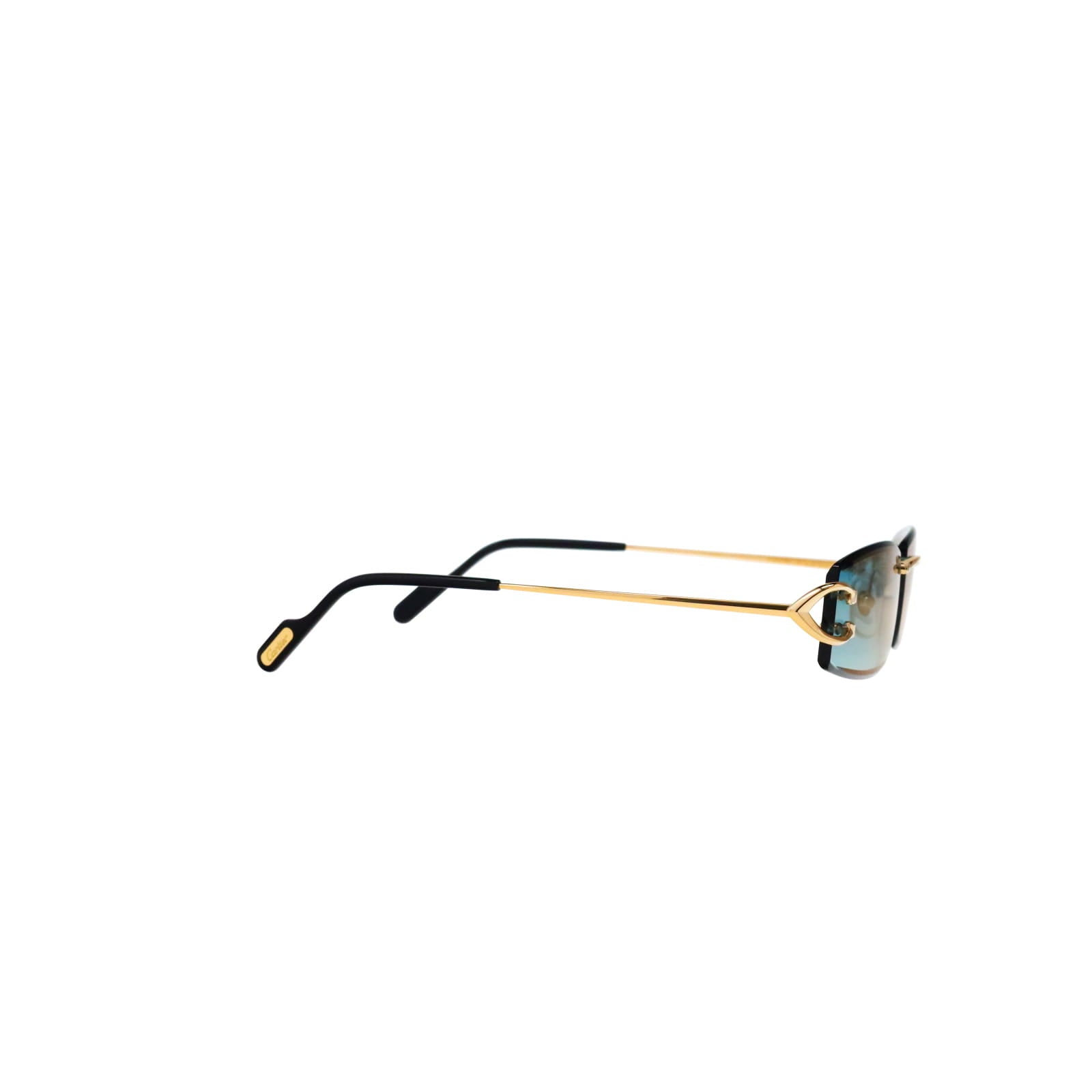 CT0465S Signature C  Rectangular Sunglasses