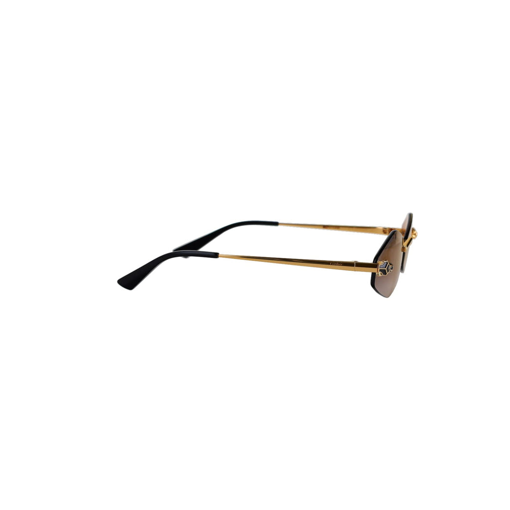 CT0433S Hexagonal Panthère Sunglasses
