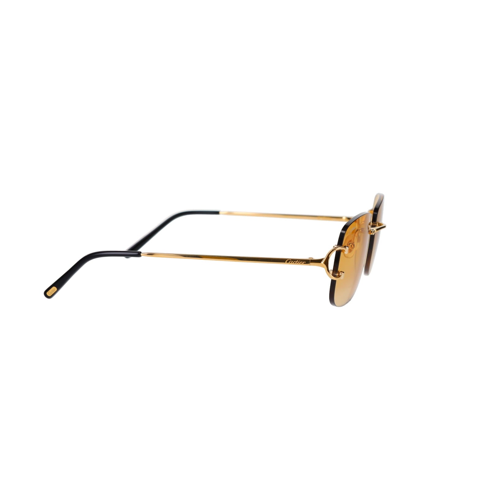 CT0011RS Signature C Sunglasses