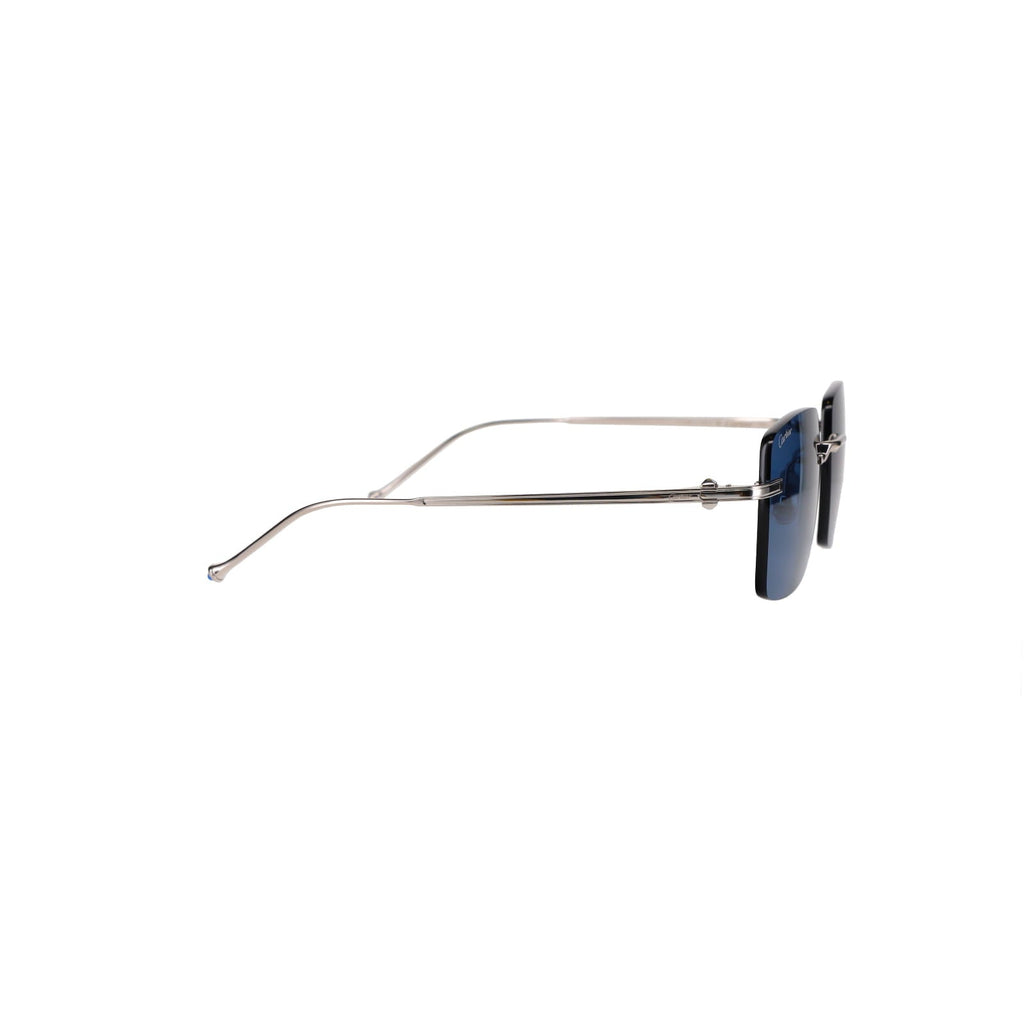CT0403S Pasha Sunglasses
