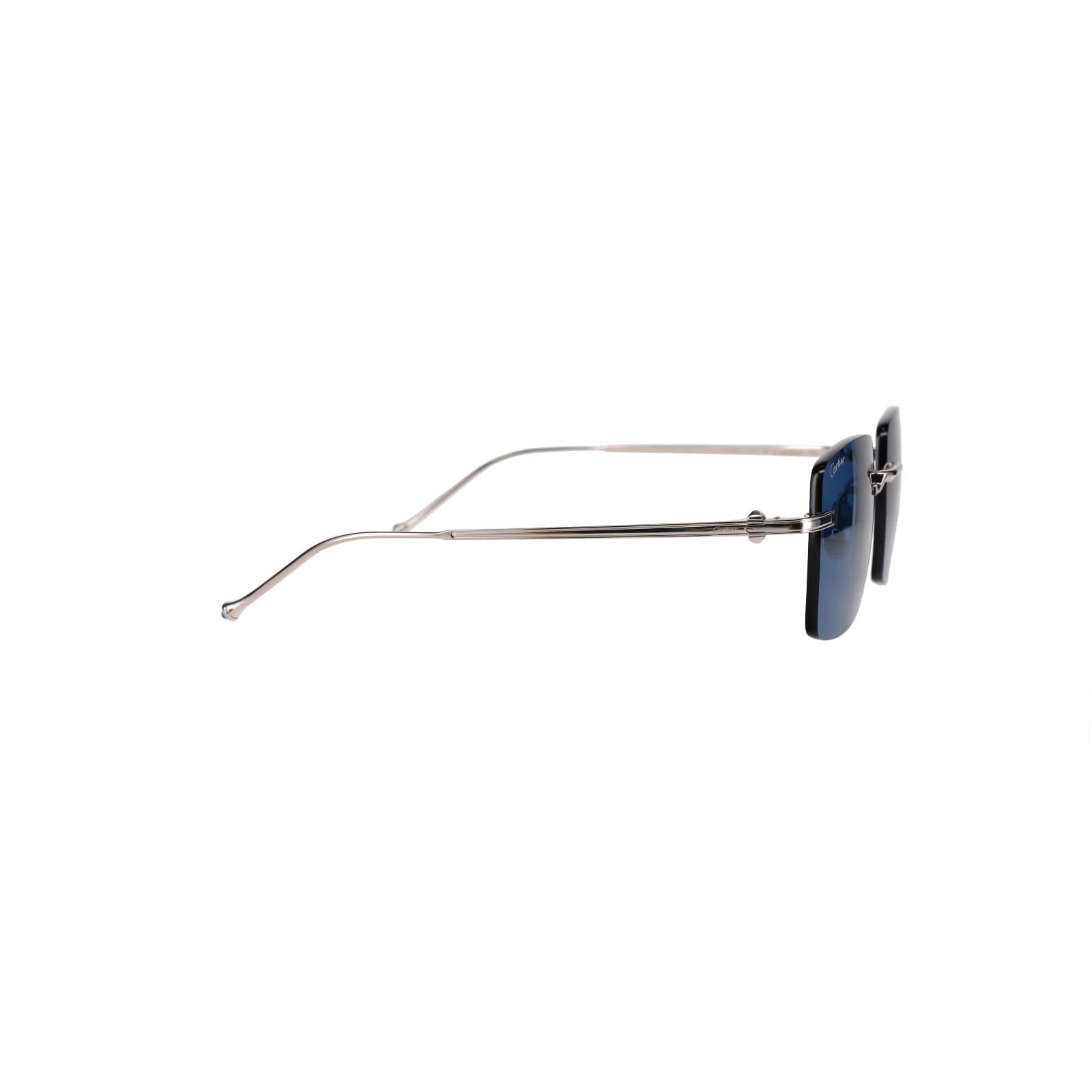 CT0403S Pasha Sunglasses