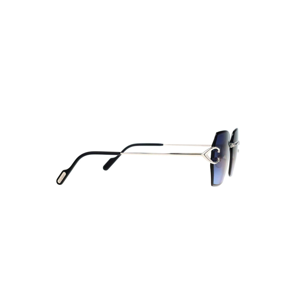 CT0466S  Signature C Sunglasses