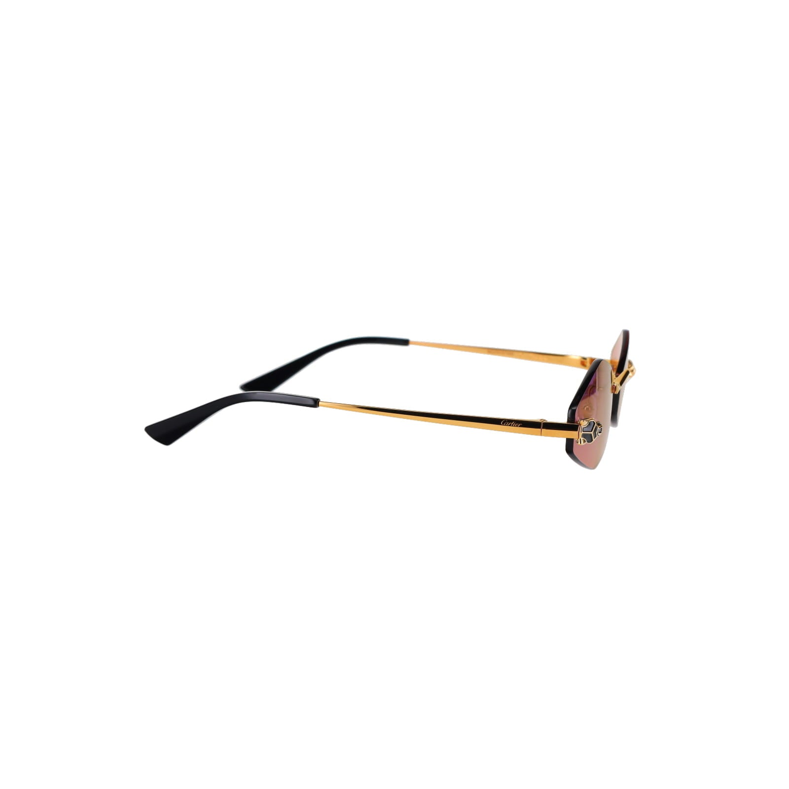 CT0433S Hexagonal Panthère Sunglasses